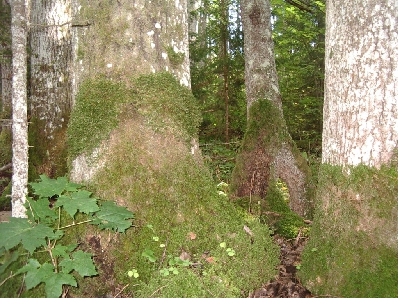 2005_09_18 390.jpg